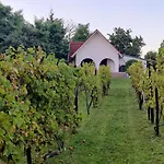 Villa Pet-friendly Private Vineyard With Jacuzzi Szigetvár