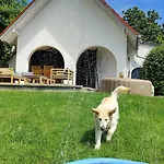 Villa Pet-friendly Private Vineyard With Jacuzzi Szigetvár