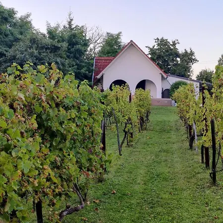 Villa Luxury Vineyard Retreat With Private Jacuzzi Szigetvar