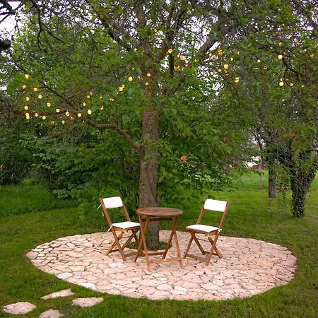 Pet-friendly Private Vineyard With Jacuzzi *