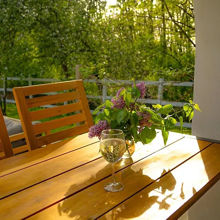 Pet-friendly Private Vineyard With Jacuzzi Willa
