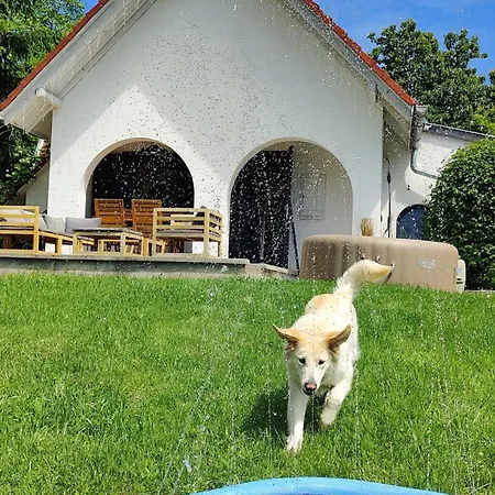 Willa Pet-friendly Private Vineyard With Jacuzzi Szigetvár