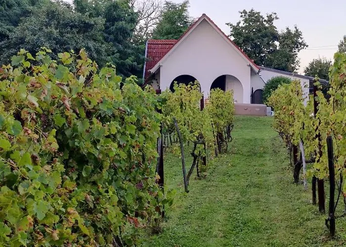 Vila Luxury Vineyard Retreat With Private Jacuzzi Szigetvár